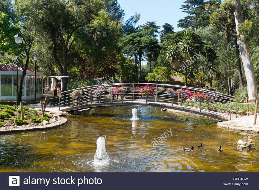 Lugar Parque Marechal Carmona