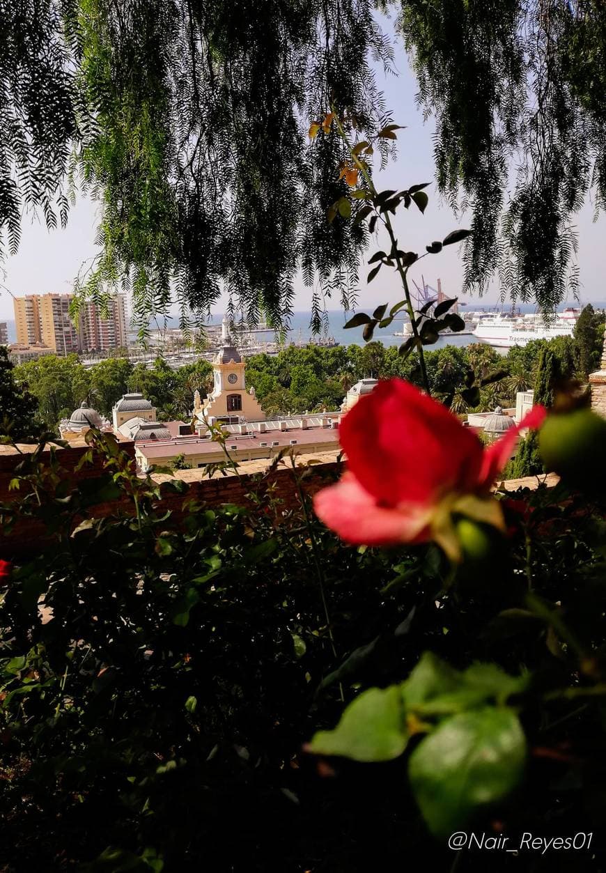 Place Alcazaba de Málaga