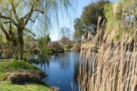 Place Regent's Park