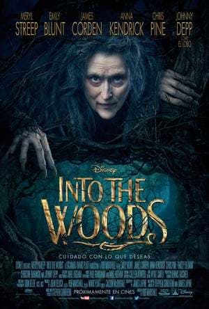 Película Into the Woods