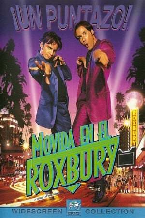 Movie A Night at the Roxbury