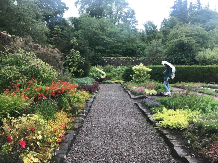 Place Dunvegan Castle