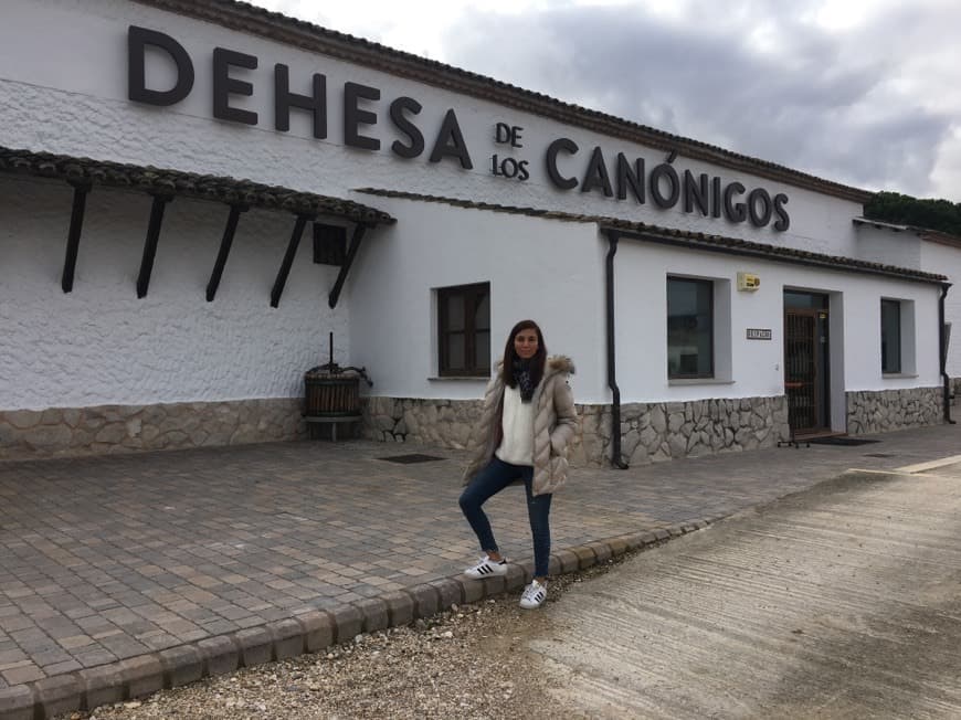 Place BODEGA DEHESA DE LOS CANÓNIGOS