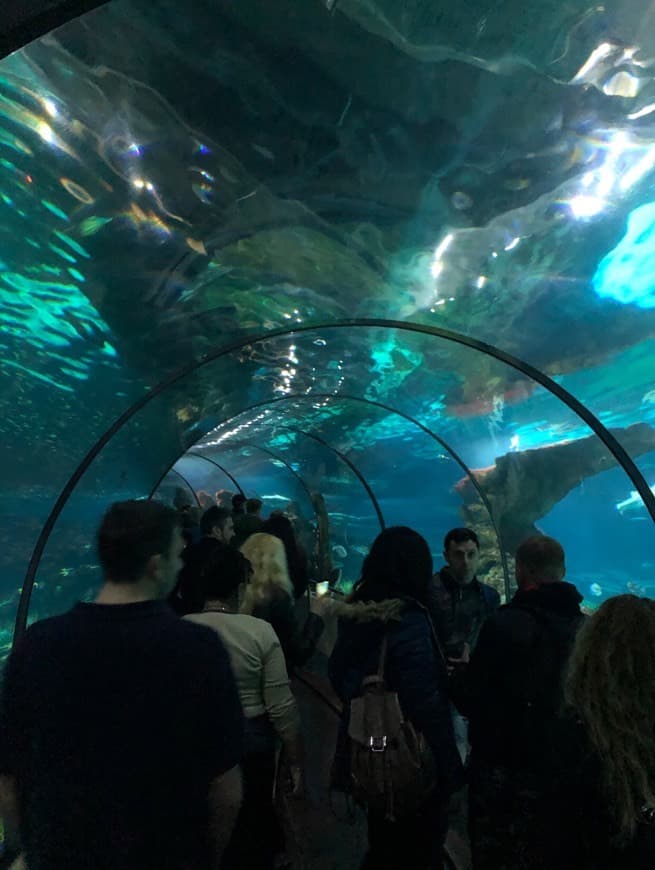 Place Aquarium de Barcelona