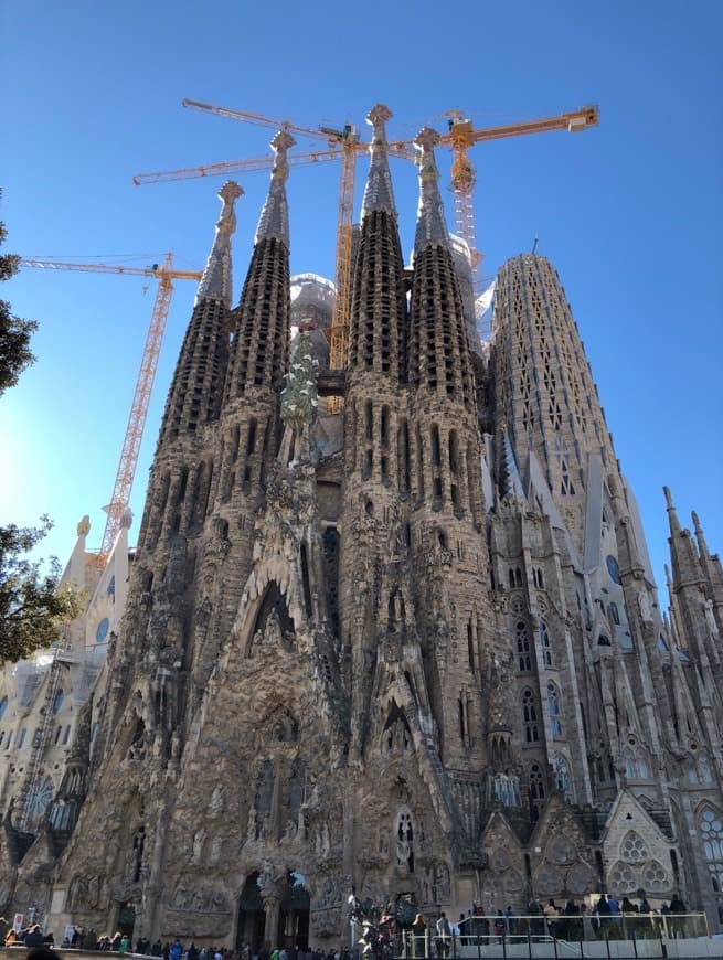 Lugar Basílica Sagrada Familia