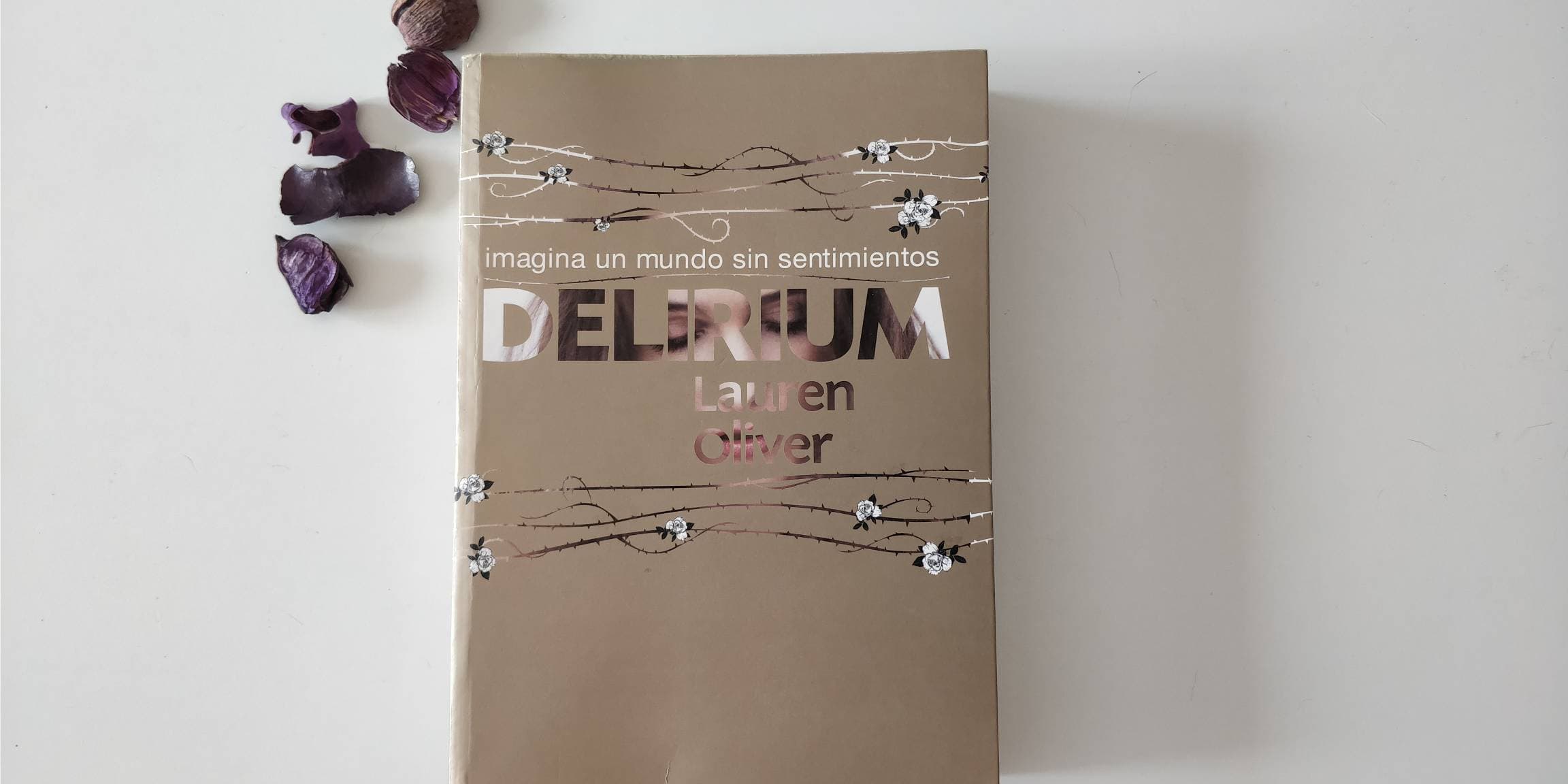 Libro Delirium