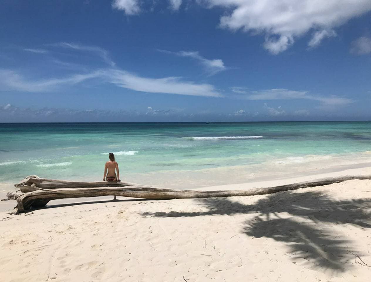 Lugar Isla Saona