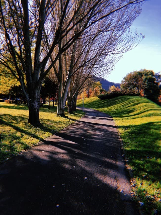 Lugar Parque Bizkotxalde