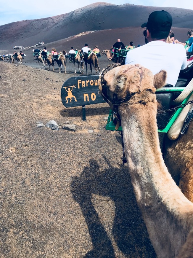 Place Timanfaya Parque Nacional