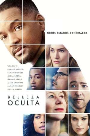 Película Collateral Beauty