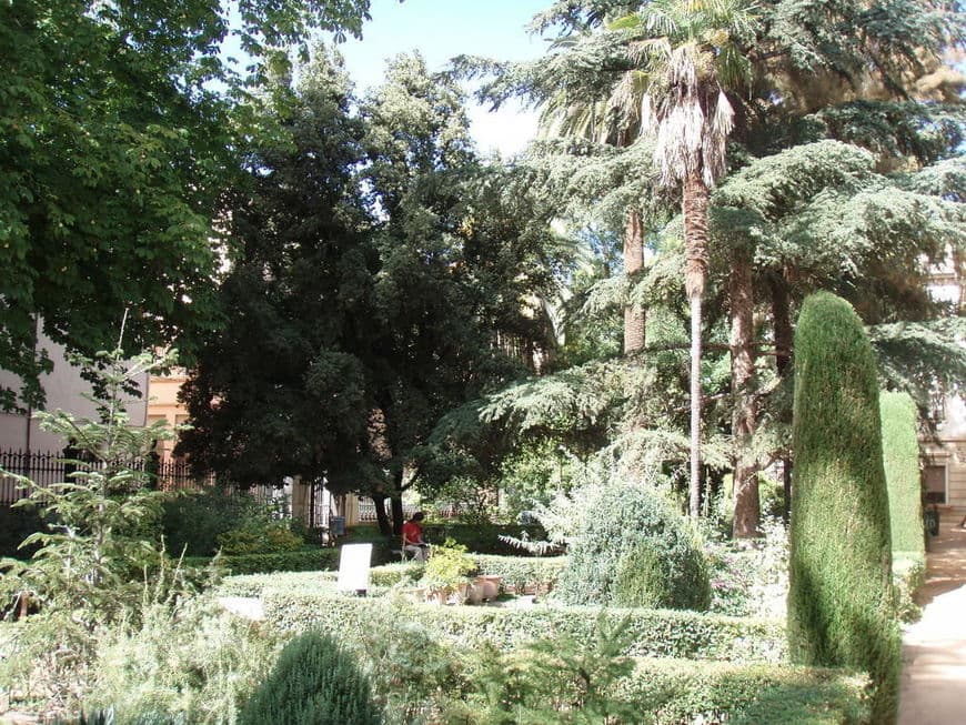 Lugar Botanischer Garten