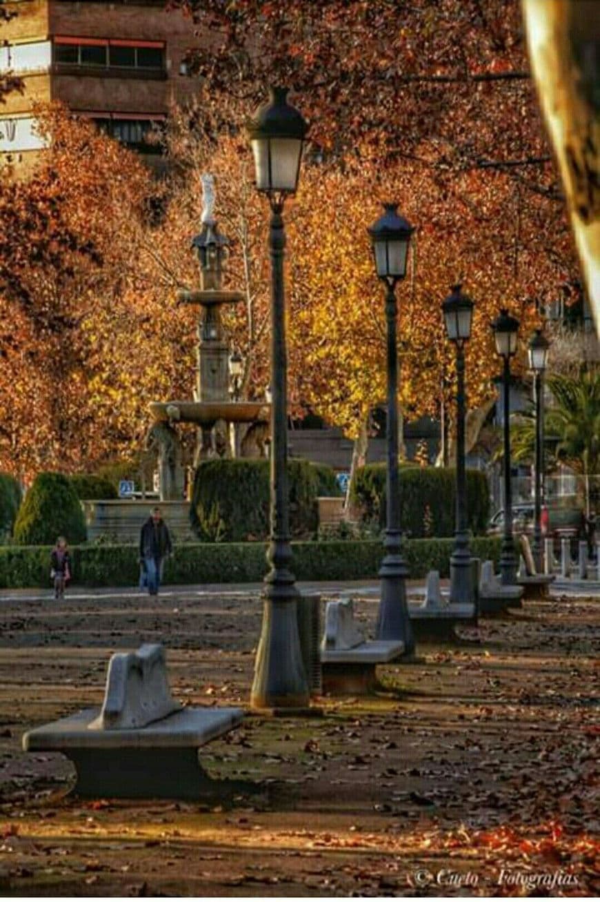 Place Paseo del Salón