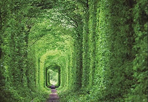 Producto 1000 Pieza Jigsaw Puzzle Amor Túnel Árboles Verdes Hobby Decoración Del Hogar