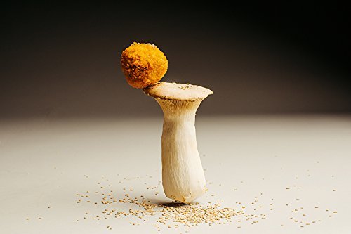 Producto Croquetas de Boletus y Sésamo tostado