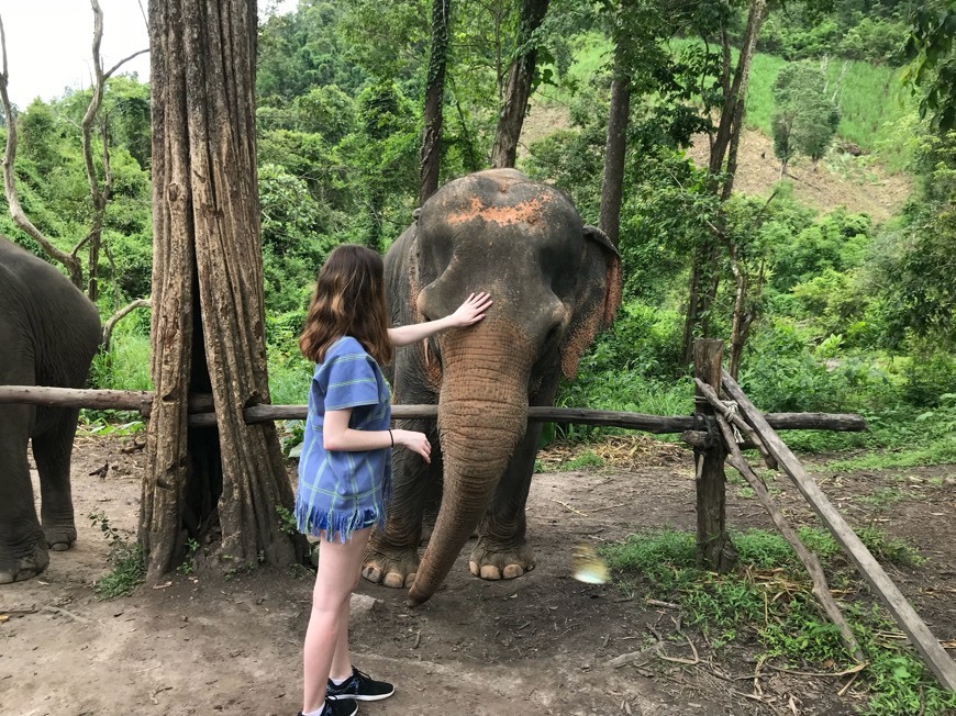 Lugar Chiangmai Elephant Sanctuary