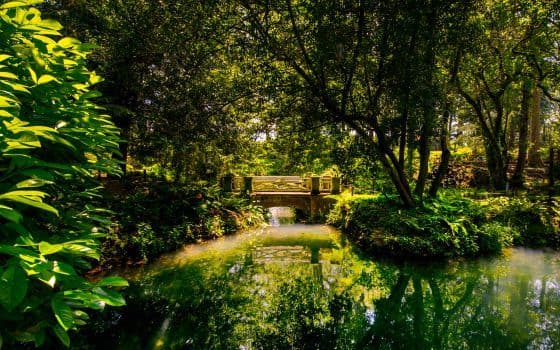 Place Jardín Botánico Atlántico