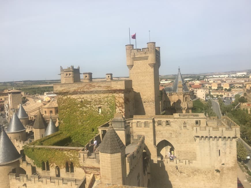 Place Olite