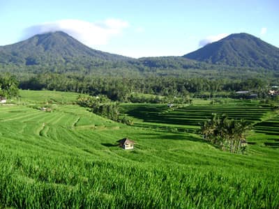 Place Jatiluwih