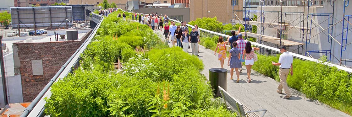 Place The High Line