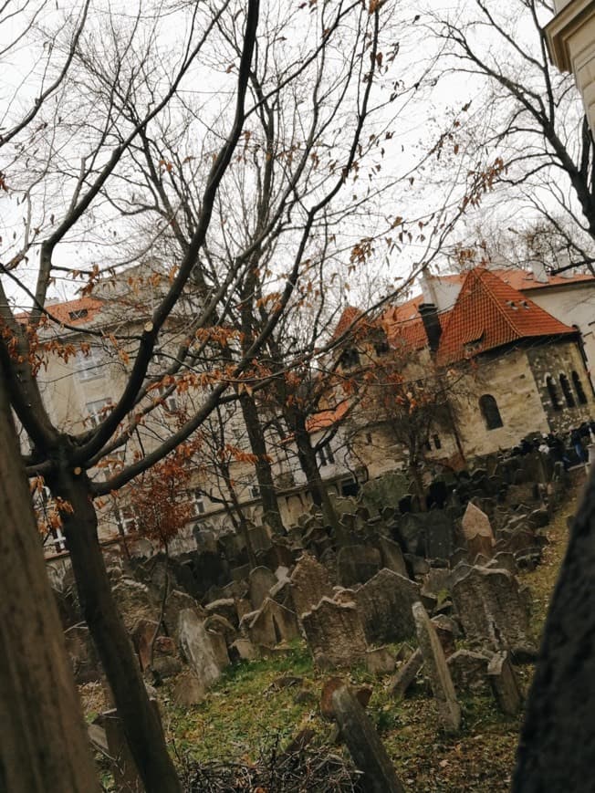 Place Old Jewish Cemetery