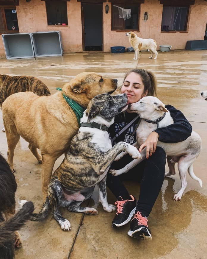 Place SPAC Protectora de Animales de Torredembarra