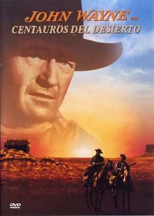 Movie The Searchers