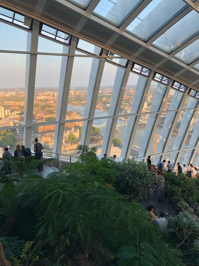 Lugar Sky Garden