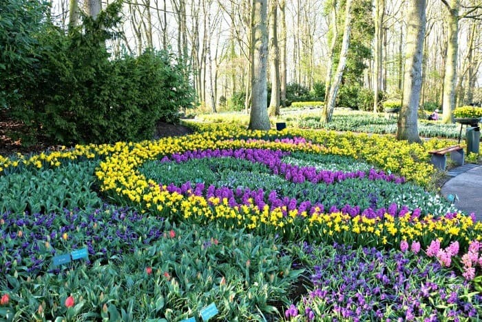 Lugar Keukenhof