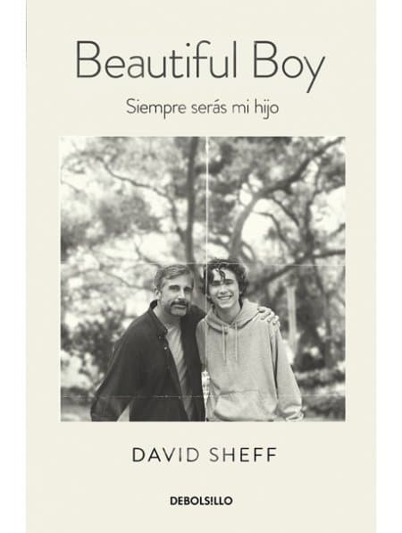 Movie Beautiful Boy