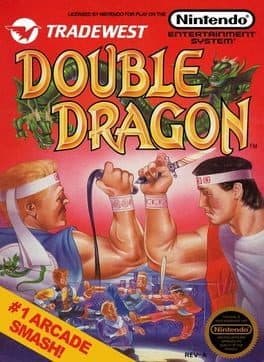 Videogames Double Dragon