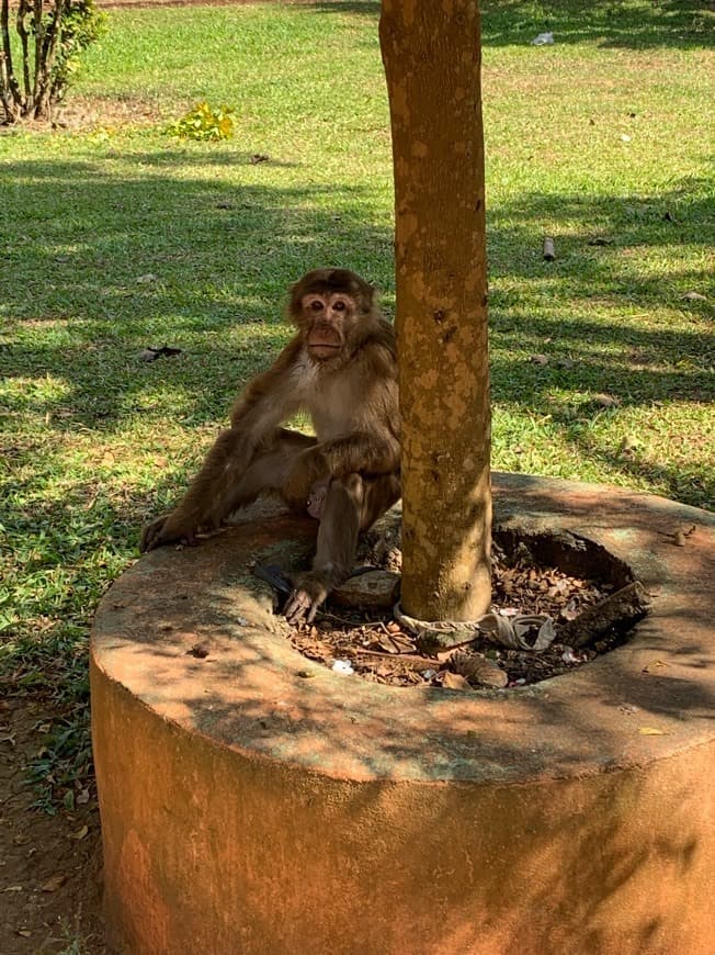 Lugar Monkey Cave