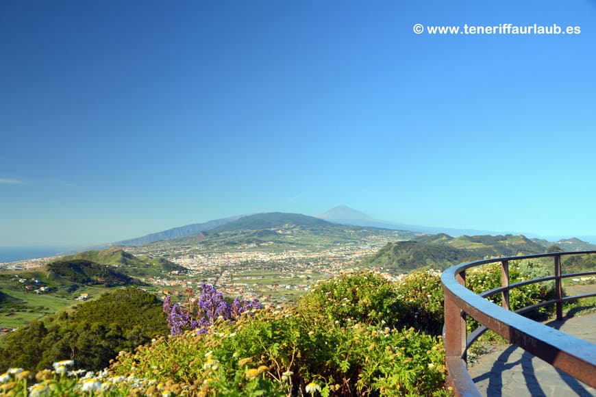 Place Mirador De Jardina