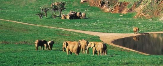 Place Parque de la Naturaleza de Cabárceno