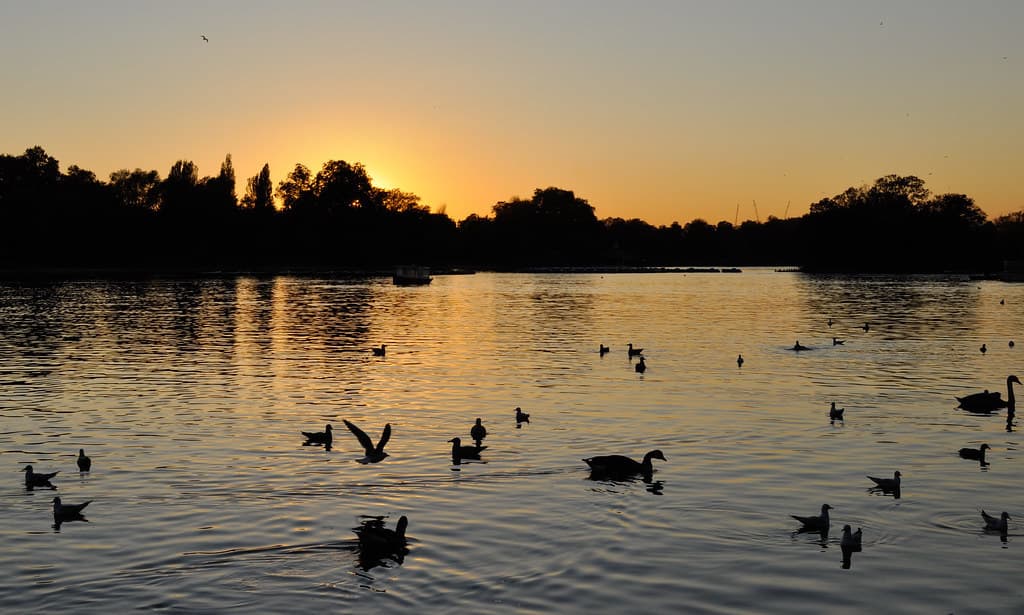 Place Lago Serpentine