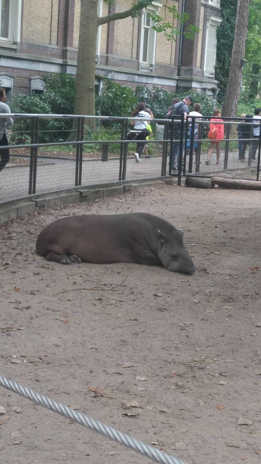 Place Grădina Zoologică Artis