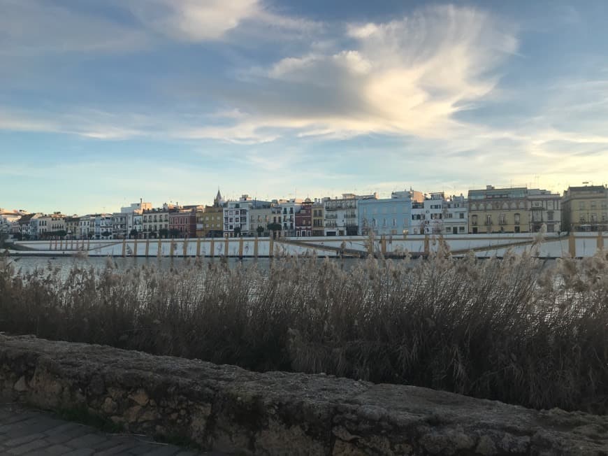 Restaurantes Calle Betis