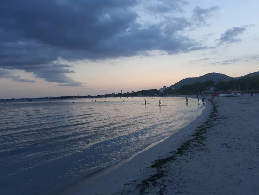 Place Puerto de Alcudia