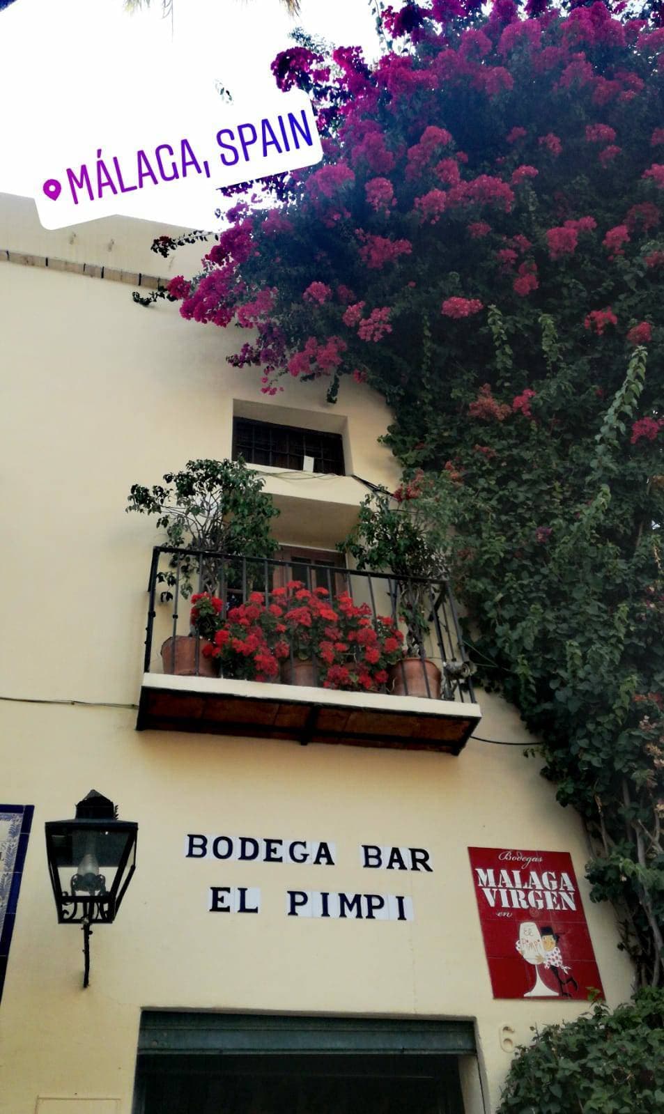 Restaurantes Bodega Bar El Pimpi