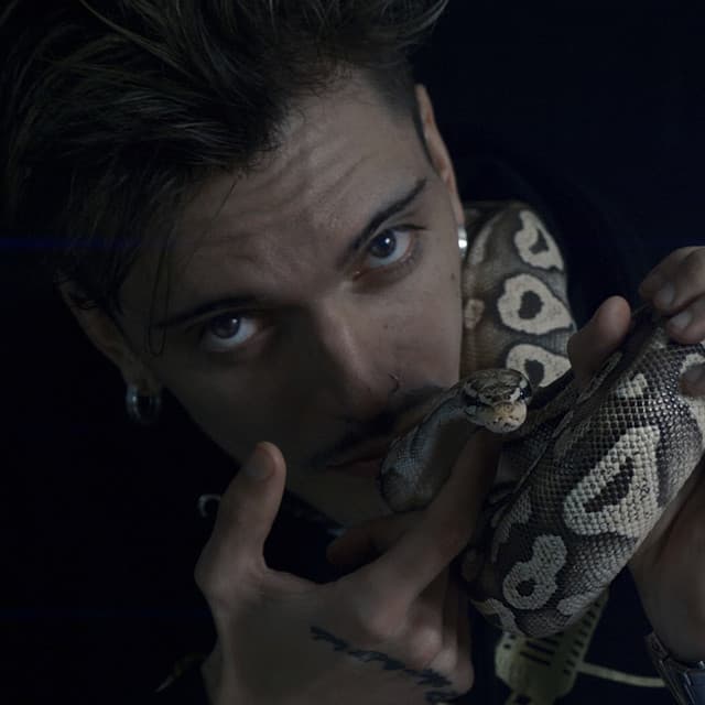 Canción Lengua de Serpiente