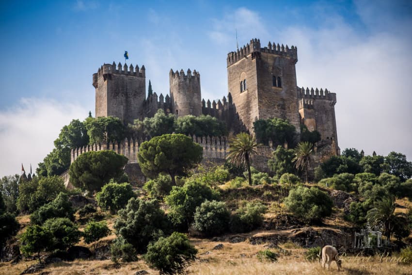 Place Castillo Almodóvar del Río