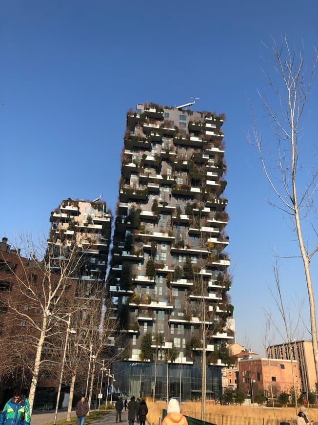 Lugar Bosco verticale