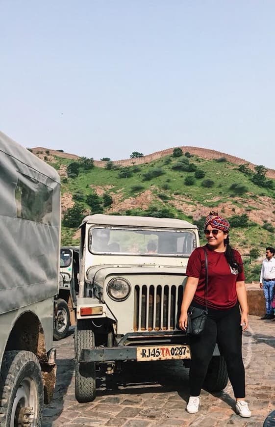 Place Amber Fort