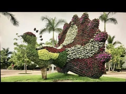 Lugar Jardines de México