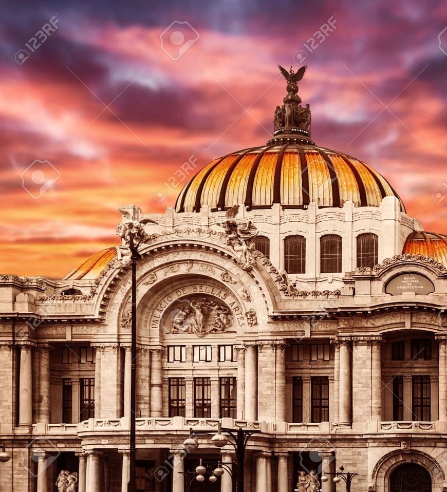 Place Palacio de Bellas Artes