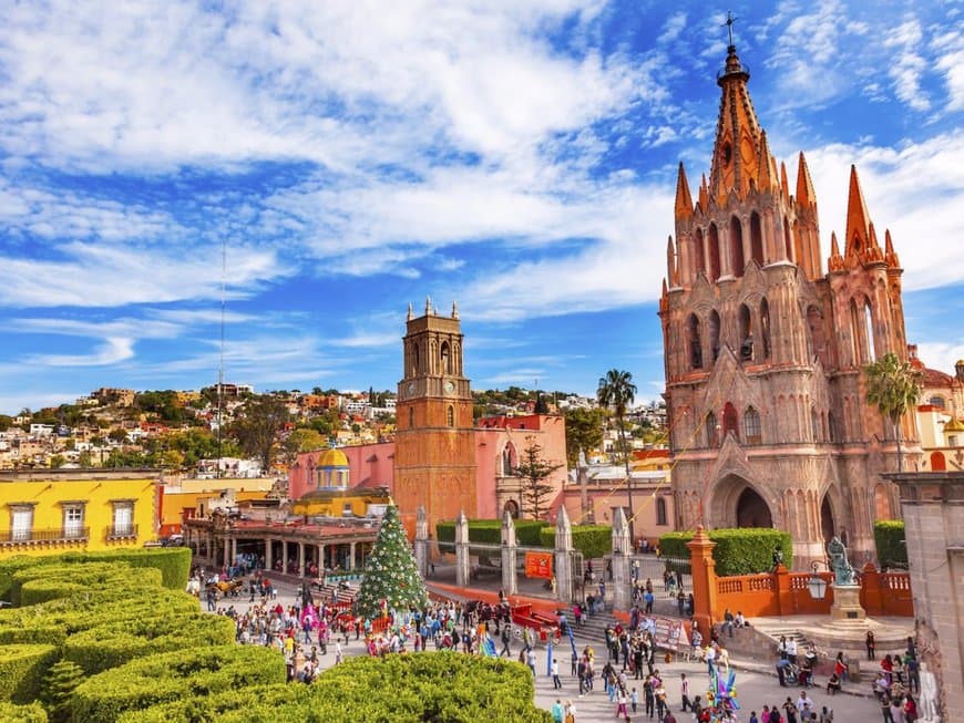 Place San Miguel de Allende