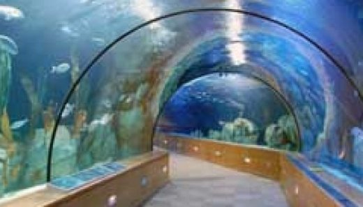 Place Acuario Inbursa