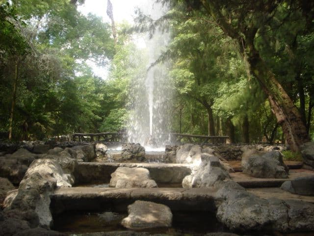 Place Parque México