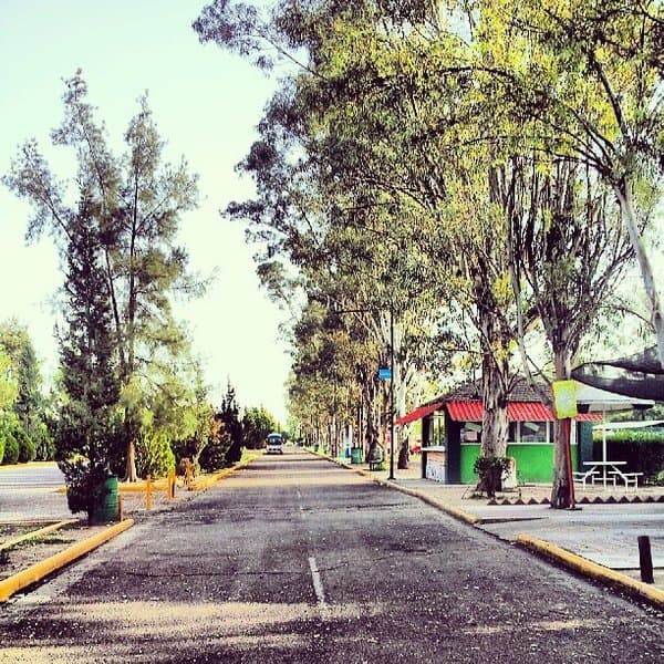 Place Parque Rodolfo Landeros