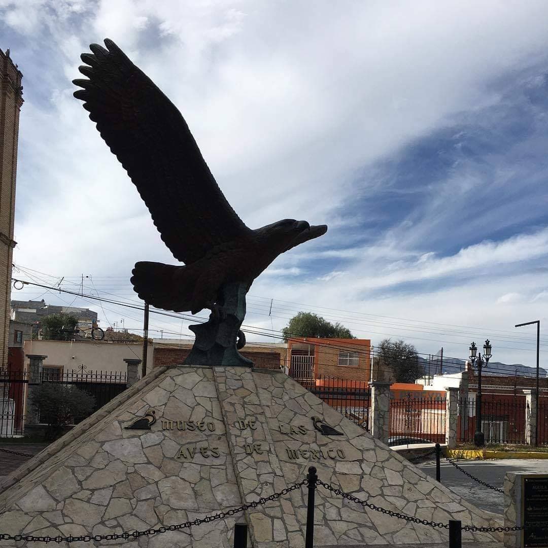 Place Museo de Las Aves de México