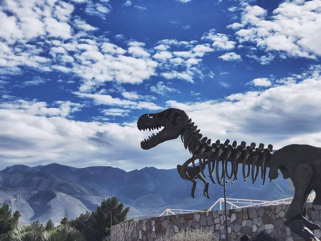 Lugar Museo del Desierto